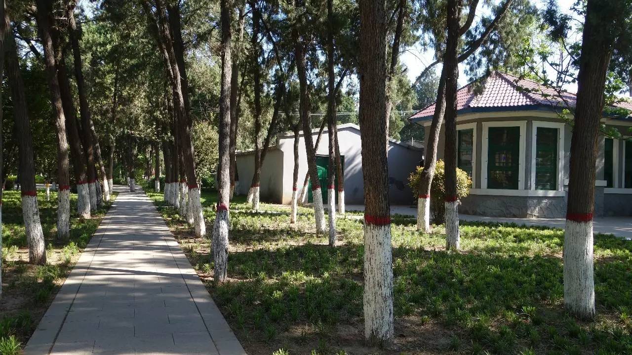 石家庄和平公园需要门票吗,石家庄和平公园几个门