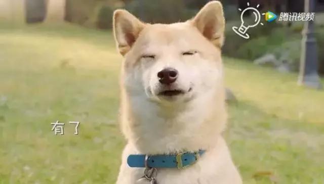 魔性表情,魔性的表情