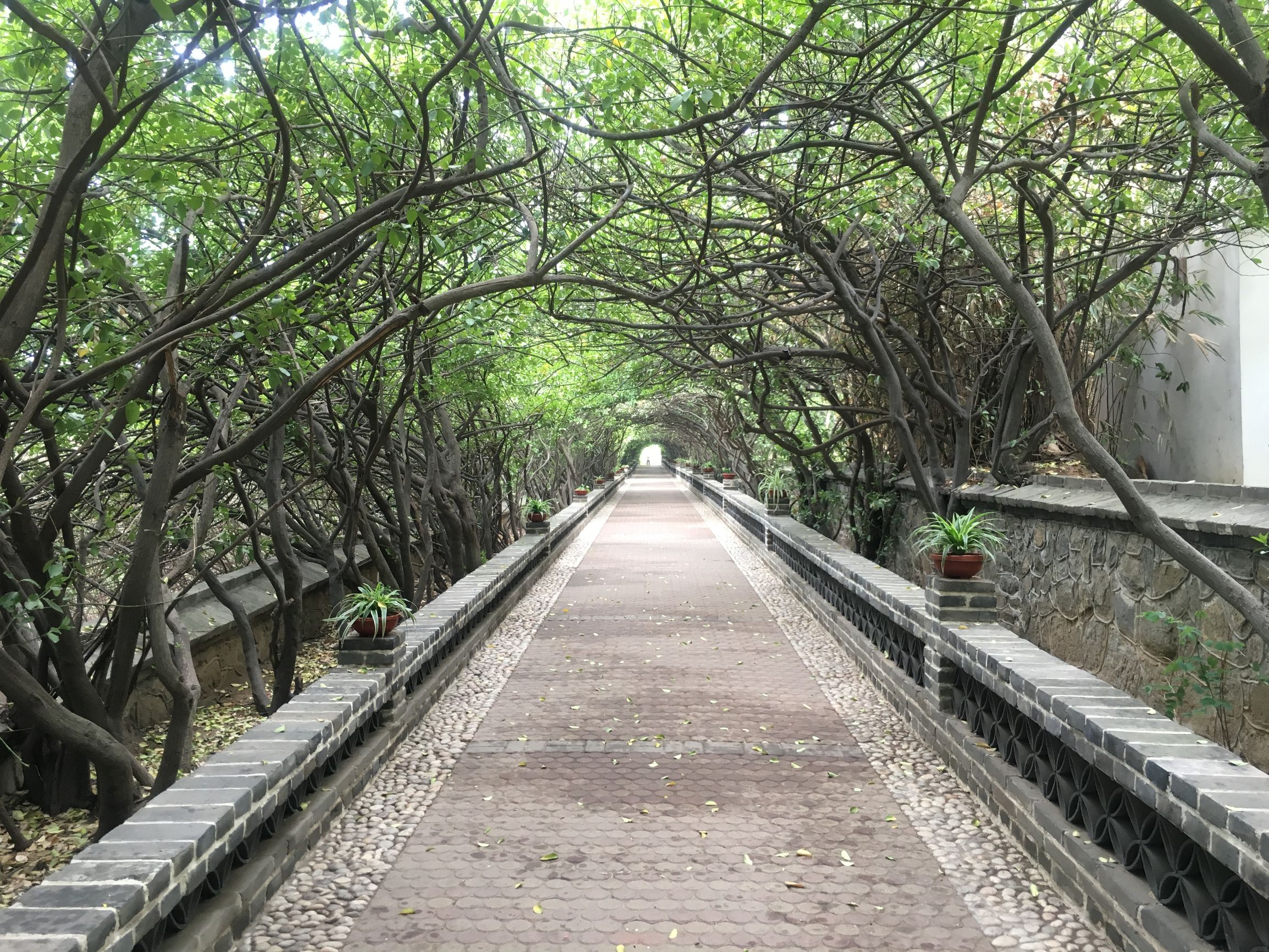 徒步旅行第75天，雨中漫步烟台山，滨海路，宿山东莱山烟台大学