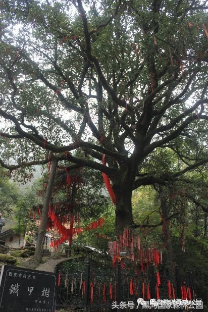 黑河风光,黑河自然风景