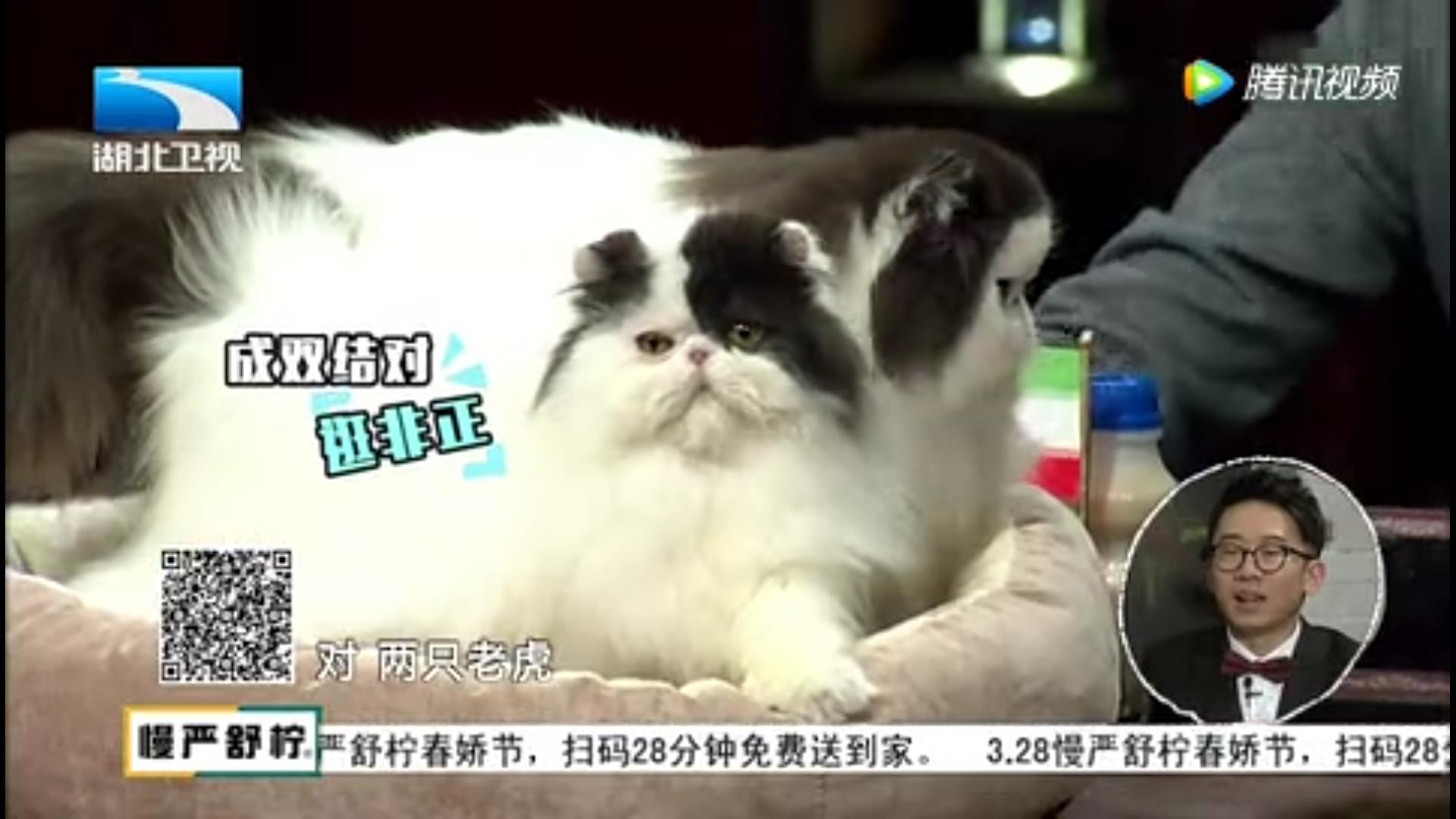 非正式会谈各国美食介绍,非正式会谈各国特色零食