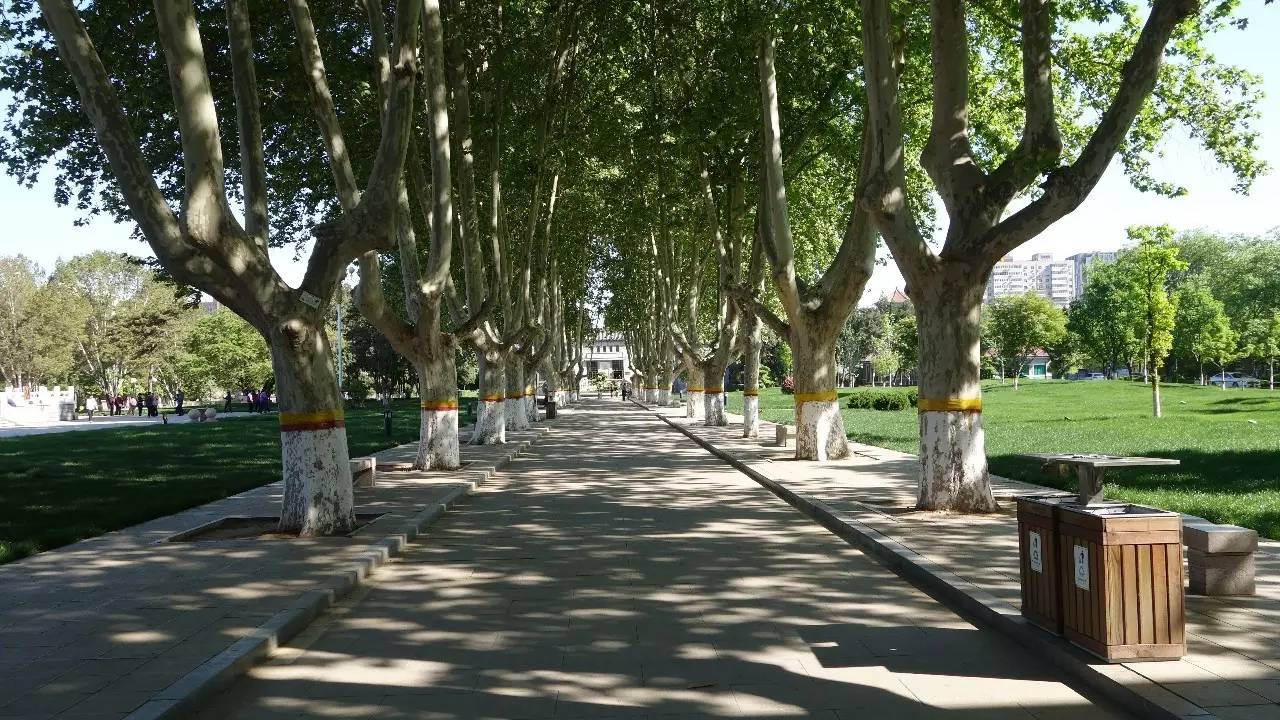 石家庄和平公园需要门票吗,石家庄和平公园几个门