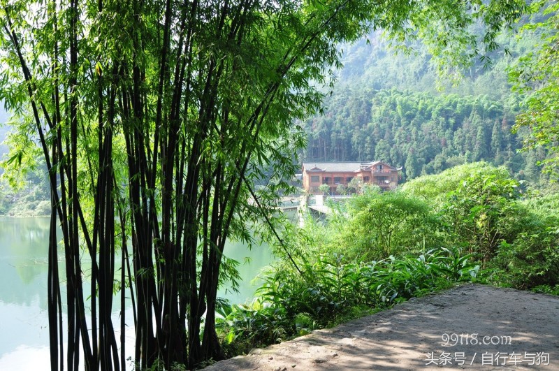三大家一起游峨眉山,23岁女生独游峨眉山失联