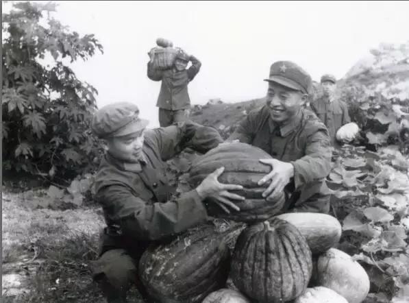 珠海建市后的建设热潮中，这样的石景山公园你一定没见过！