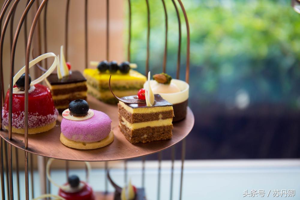 深圳世界之窗中途出去能再进吗,深圳世界之窗要准备什么