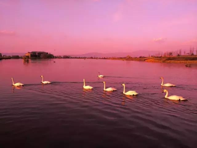 拍了那么多张，你这张照片与上一张有何不同？来看下这些评图就知道了！