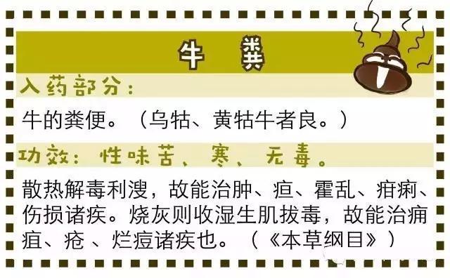 谈谈中药的奇葩事:粪便当中药,口味也太重了吧!你吃得下吗?