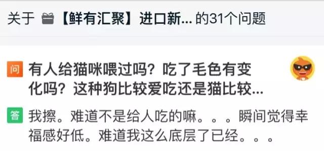 从让人捧腹的铝盆和鸡窝大抢购,看猫咪用品创业商机