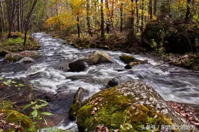 夏季黑龙江最美景区,黑龙江避暑最佳城市