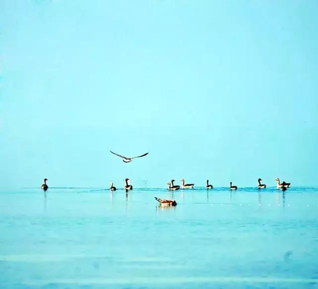 10个适合情侣的目的地，每一个都值得跟他好好走一走