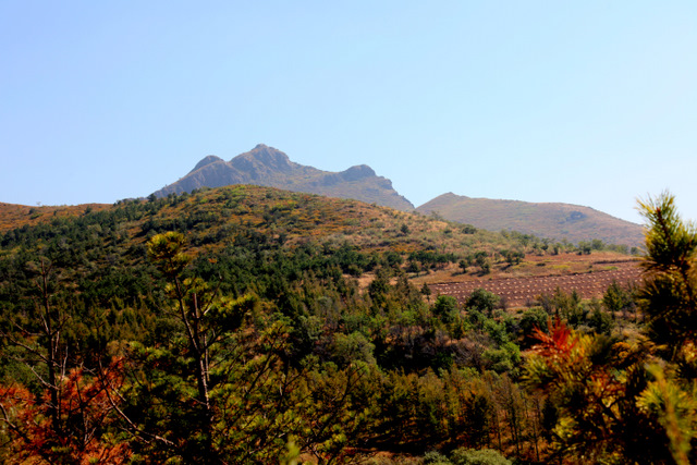 青龙山自然风景,青龙山山顶景色
