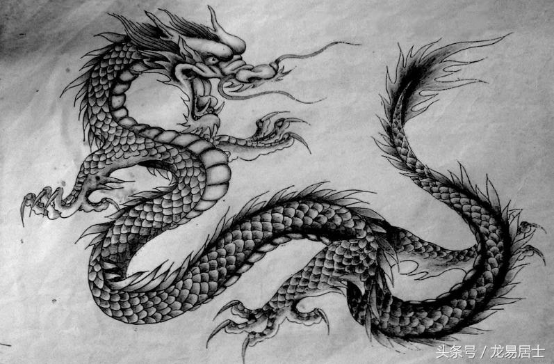 中国的十二生肖有几个,中国的十二生肖对中国有多重要