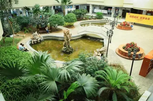 沈阳师范大学回忆,再见青春再见过往