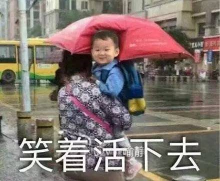 小黑瓶与小棕瓶买哪个,当心你买到的可能是一款假净水壶