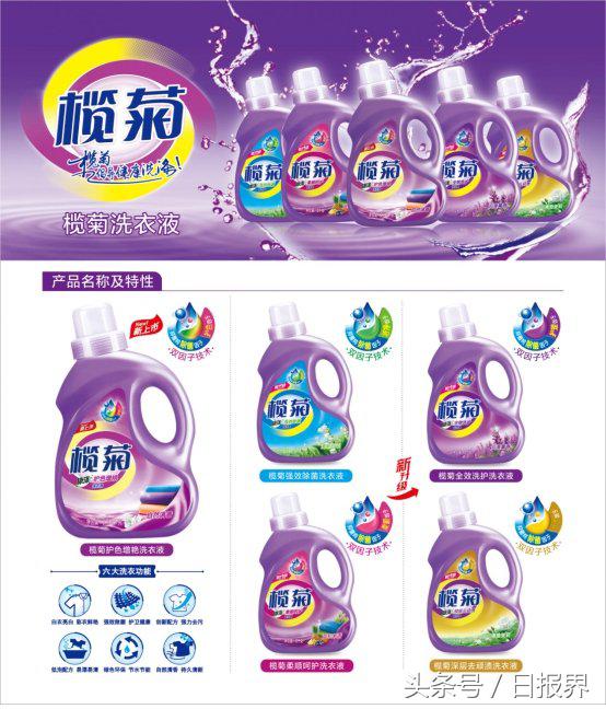 榄菊活力,榄菊品牌升级