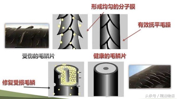 香味和护发并存的护发精油,混合型护发精油