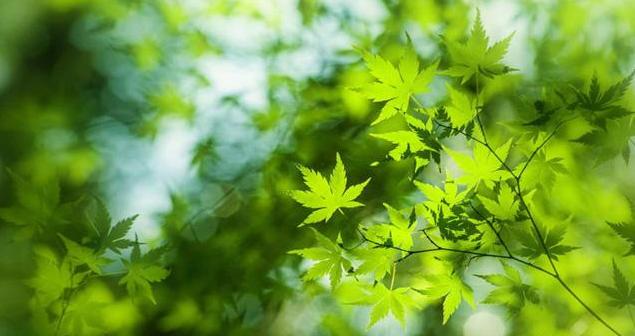 100句关于早安的说说,简短早安八个字励志语录