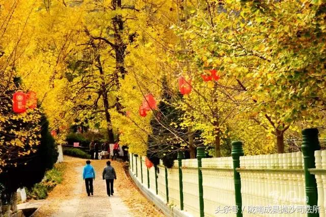 大美陇南是我的故乡,大美陇南风景如画