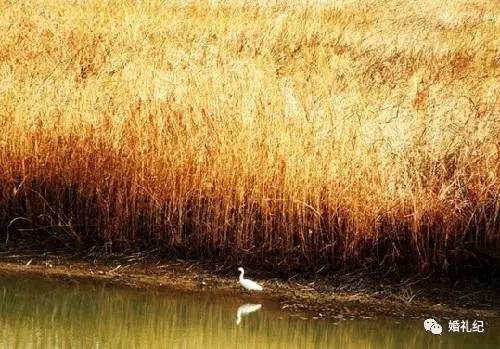 这样的婚纱照拍摄景点你中意吗,婚纱照拍摄圣地推荐
