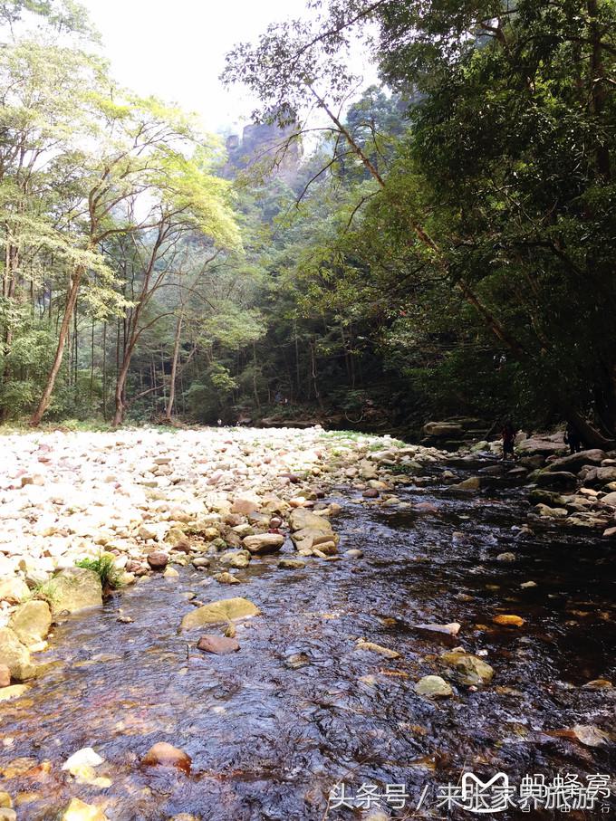 张家界五日游多少钱一个人 (自己张家界六日游详细攻略)