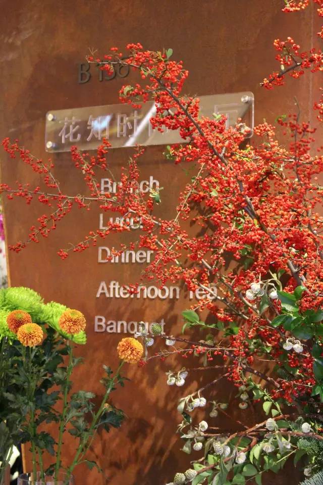 魔都特色餐厅推荐,魔都最有腔调的十家自助餐约起来