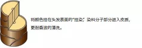日本最安全的染发,日本一次性染发有没有危害