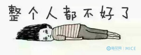 开便利店有老鼠怎么办,全家便利店是怎么回事