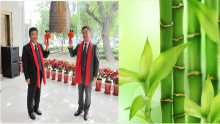 2017正和岛新三板投资调研团——海王股份