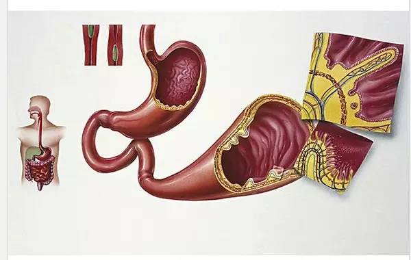 全民健身需要怎样的运动康复思路,全国全民健康科普知识大讲堂
