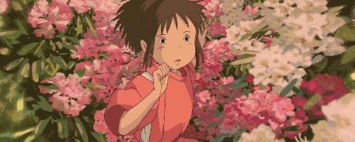 灵芝红茶红石榴,灵芝红茶蒲公英