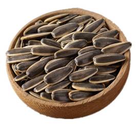 adidas阿迪达斯儿童专卖店凉鞋直播,adidas官方旗舰店三叶草儿童凉鞋