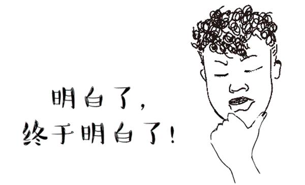 小跳虫长什么样,小跳虫是什么虫子