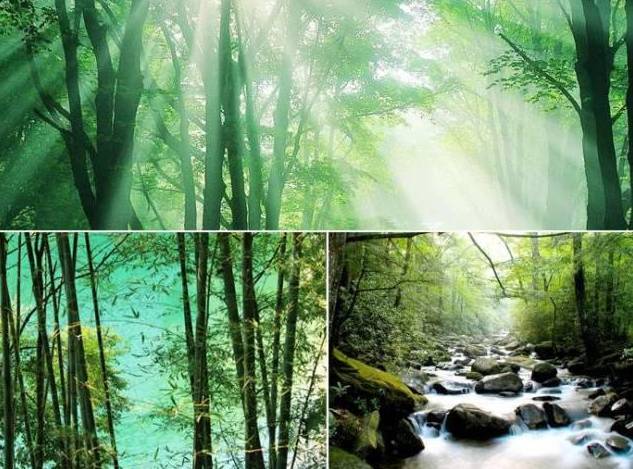 柳州自行车骑行路线,柳州山地车骑行最美村庄