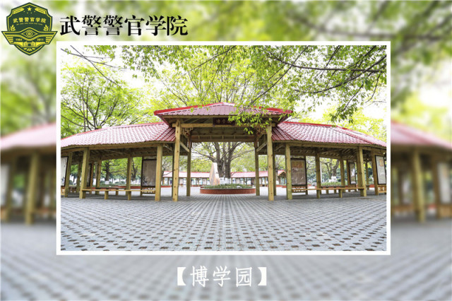 小编带你畅游军校｜第五站：*警武**警官学院（和我一起“士兵突击”吧）
