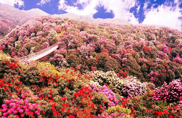 不仅有颜值还有内涵,贵州世界之最完整视频