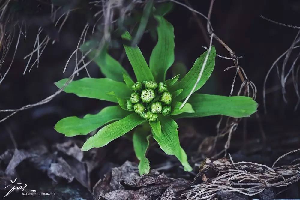 暑期日本之旅,暑假日本旅游攻略