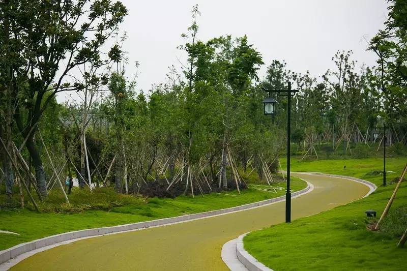 少女心美炸！大杭州竟然藏了条七彩跑道，柠檬黄、蒂芙尼蓝、墨色绿……现在去还能看到十里荷花……