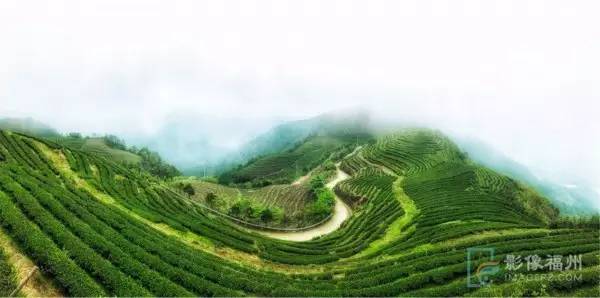 游茶山,游茶山竹海