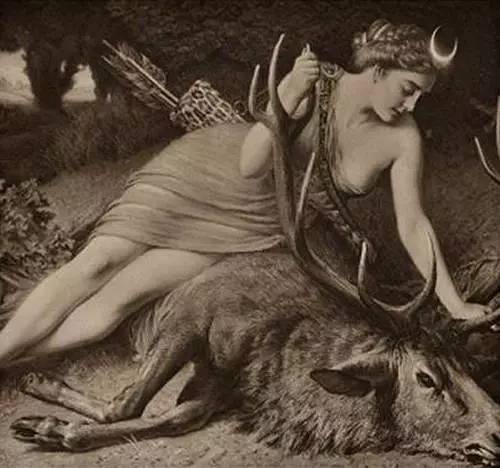 百草园有什么药材,百草园里面有什么草