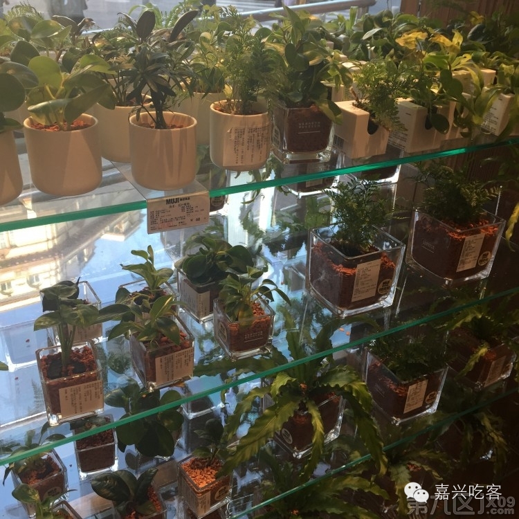 粗去浪|为了推荐好吃的咖喱和零食，本宝宝码字好辛苦！