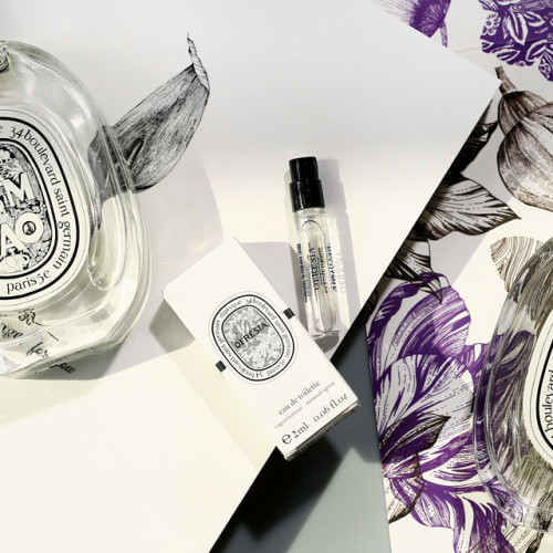 diptyque蒂普提克香水套装5支 (法国diptyque车载香熏固体香水)