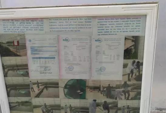 全国最大的玫瑰花基地,世界最著名玫瑰基地