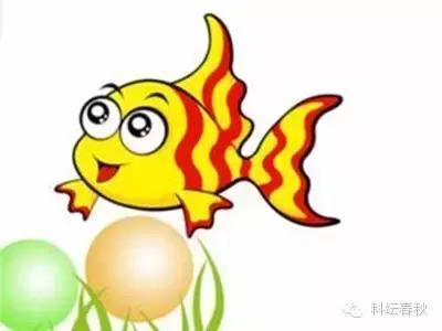 戴世强专栏｜流体力学的魅力（第五篇）鱼儿这样告诉我们