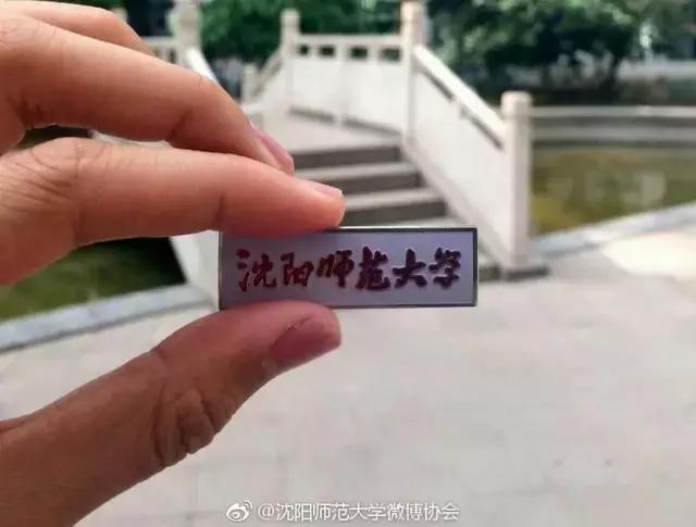 沈阳师范大学青春,再见青春沈阳