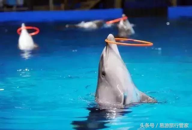 武汉旅游地铁省钱攻略最新,武汉旅游4天地铁攻略