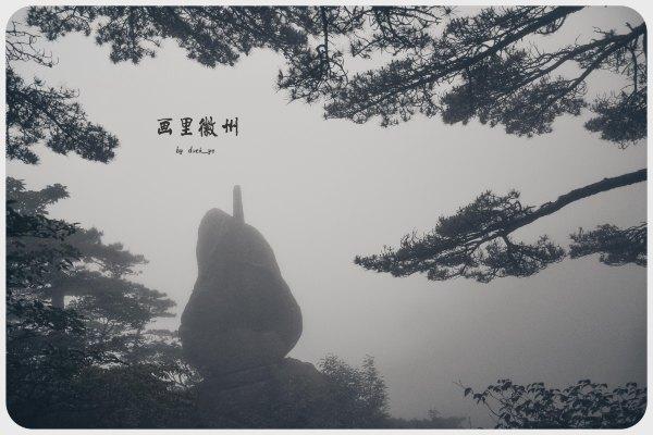 黄山四绝之一奇松介绍,黄山的四绝分别是奇松怪石