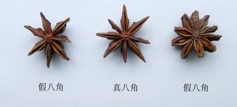 怎样能买到真正的八角,这些八角都是劣质八角