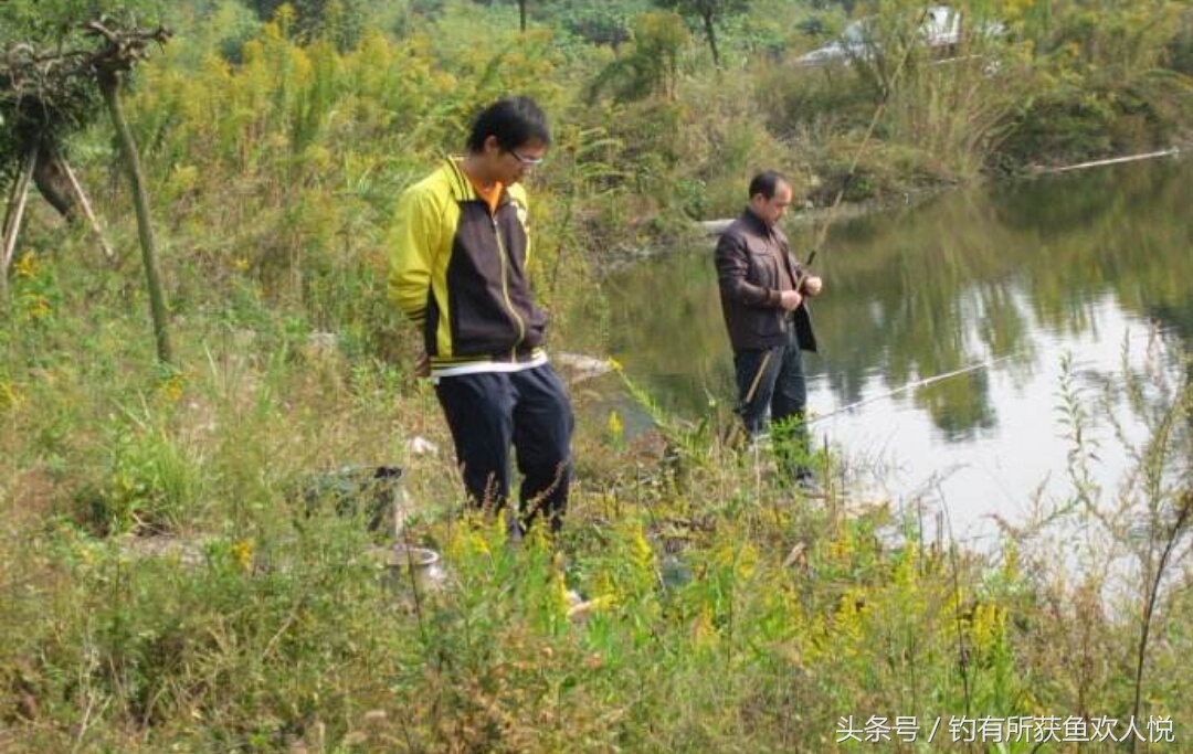 夏季钓昂刺鱼打窝,夏天钓昂刺用什么饵料