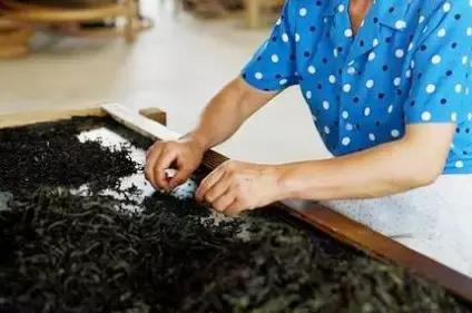 对于岩茶，拣茶梗究竟有多重要？