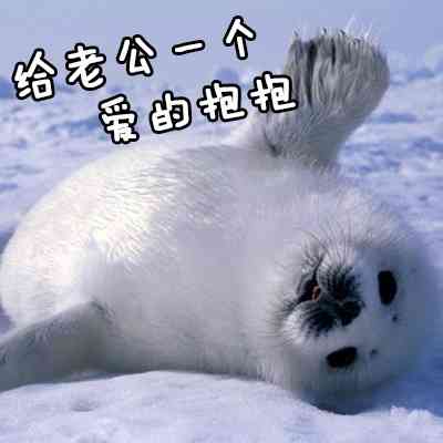 跟老公男朋友聊天专用微信QQ萌萌可爱带字表情包